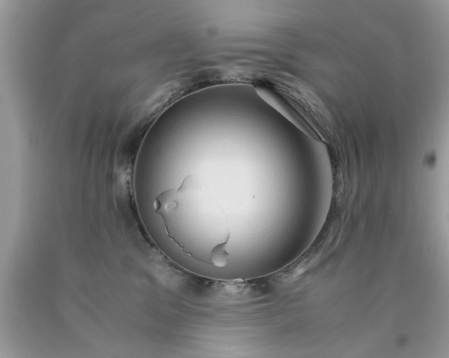 X0000090470329200707272303