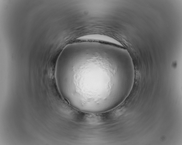 X0000090470331200707272303