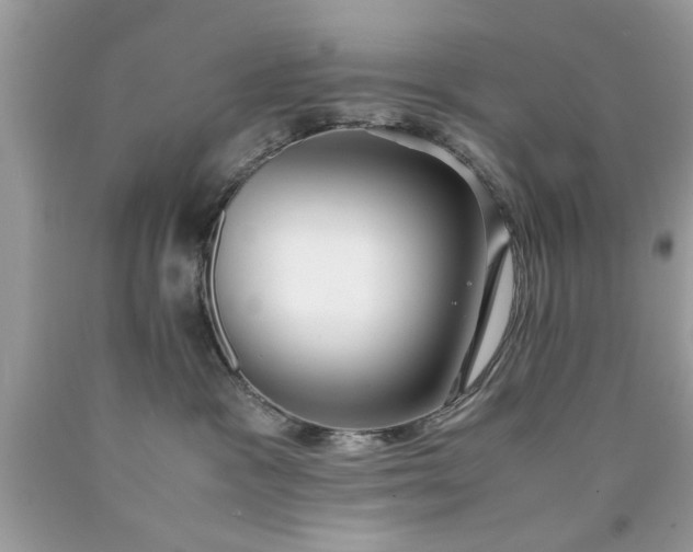 X0000090470333200707272303