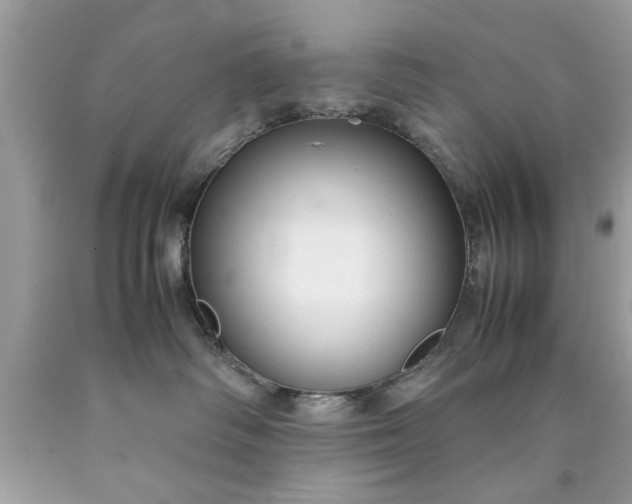 X0000090470334200707272303