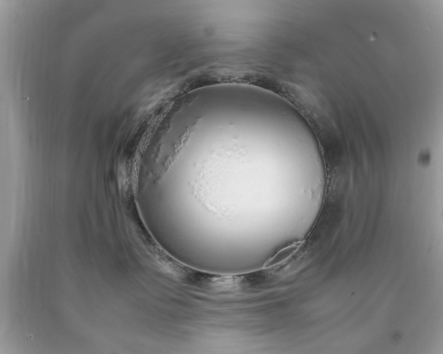 X0000090470335200707272303