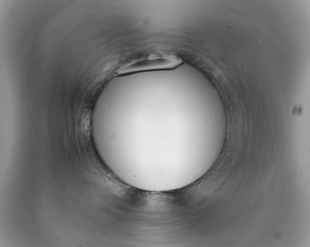 X0000090470336200707272303