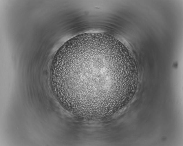 X0000090470337200707272303