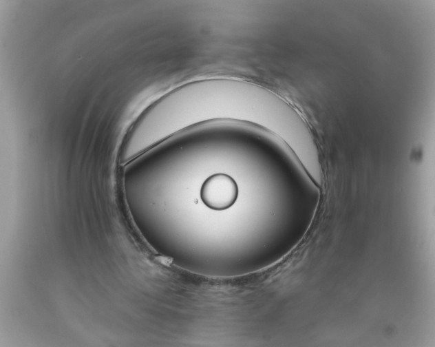 X0000090470340200707272303