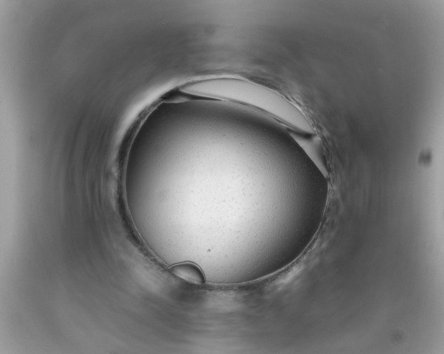 X0000090470342200707272303