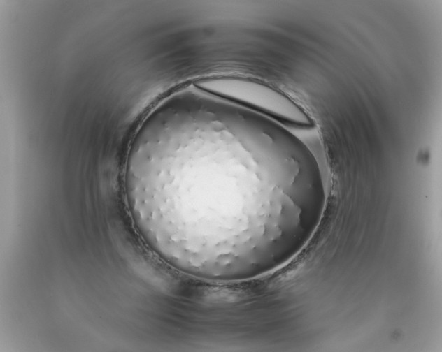 X0000090470347200707272303