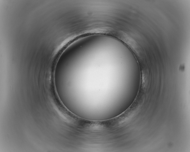 X0000090470348200707272303