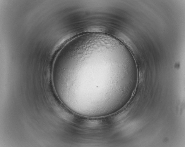 X0000090470349200707272303