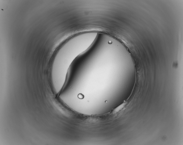 X0000090470350200707272303