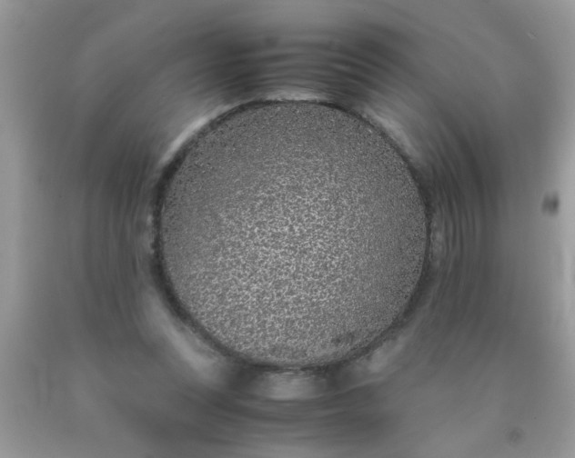 X0000090470351200707272303