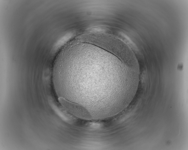 X0000090470352200707272303