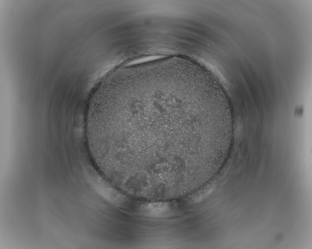 X0000090470353200707272303