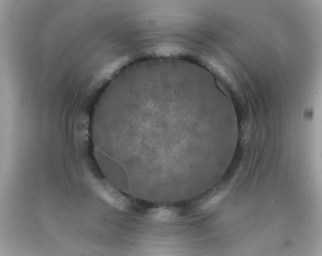 X0000090470356200707272303