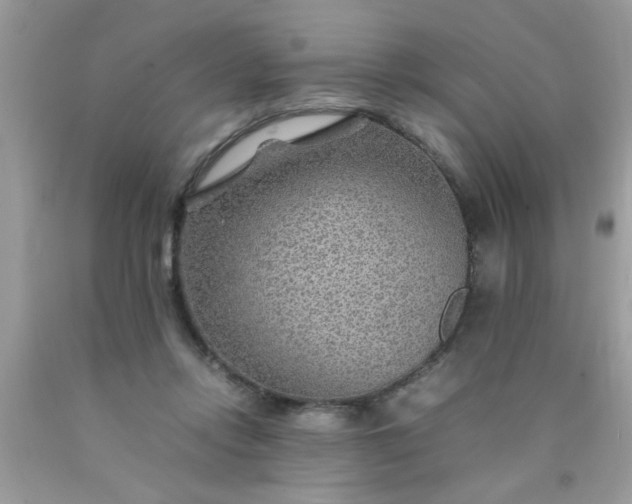 X0000090470358200707272303