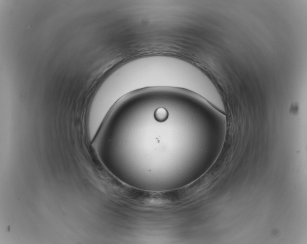 X0000090470360200707272303