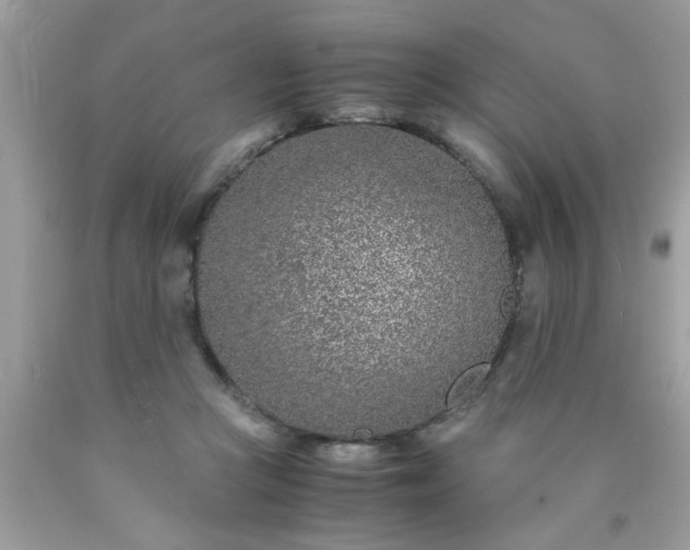 X0000090470361200707272303