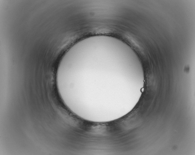 X0000090470362200707272303