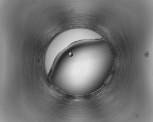 X0000090470364200707272303