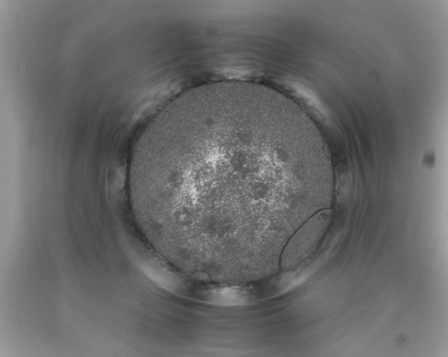 X0000090470365200707272303