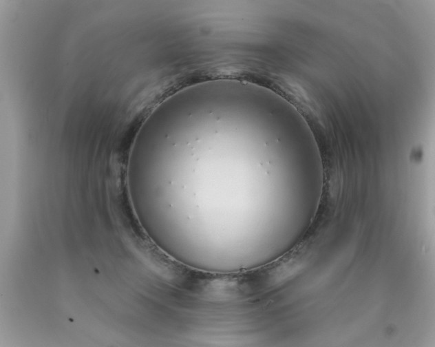 X0000090470366200707272303