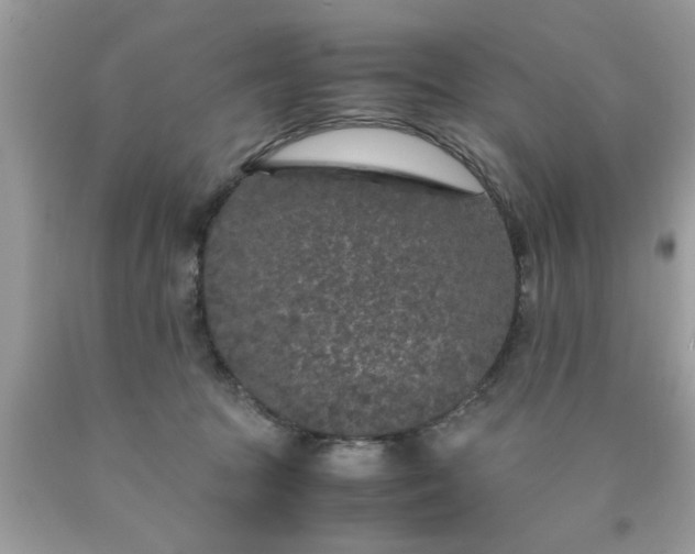 X0000090470369200707272303