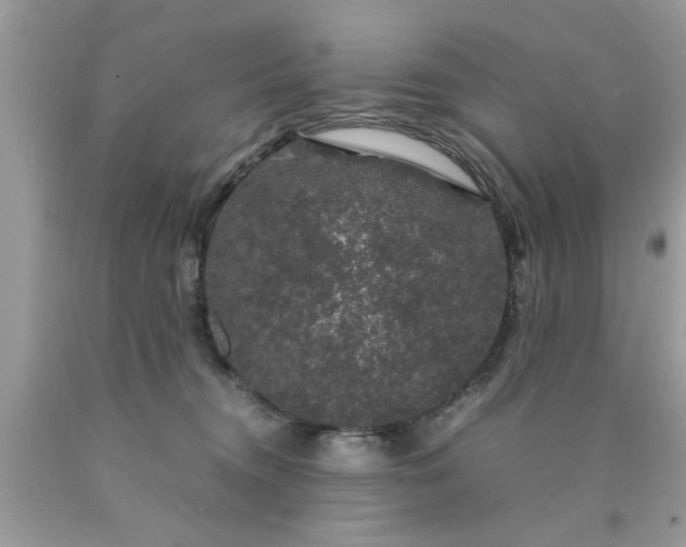 X0000090470372200707272303