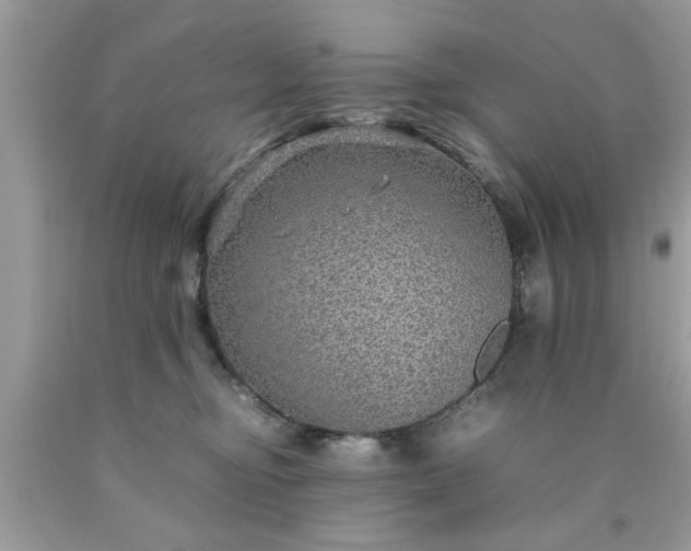 X0000090470374200707272303