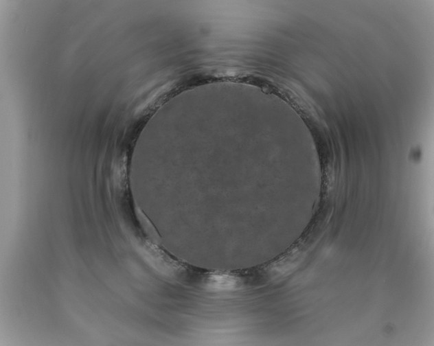 X0000090470376200707272303