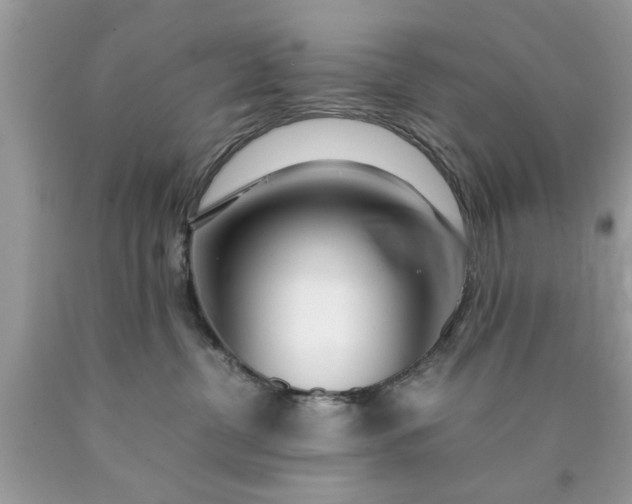 X0000090470380200707272303