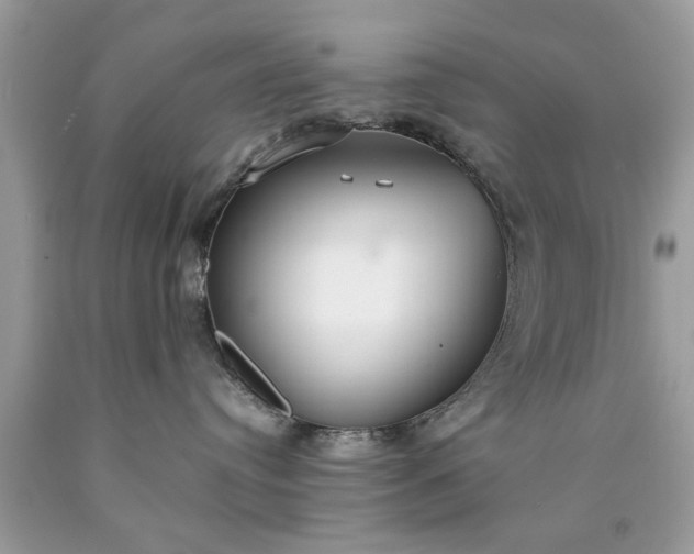 X0000090470384200707272303