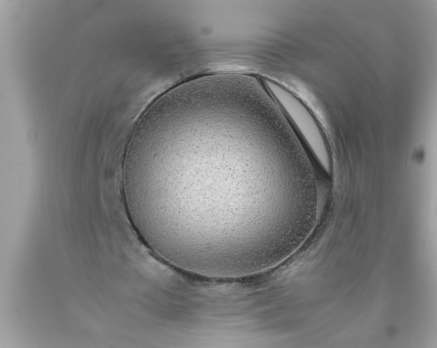 X0000090470385200707272303