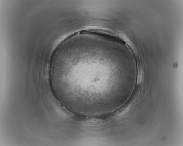 X0000090470387200707272303