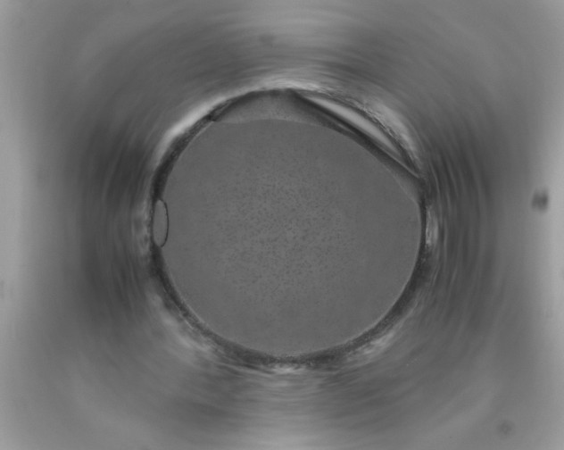 X0000090470388200707272303