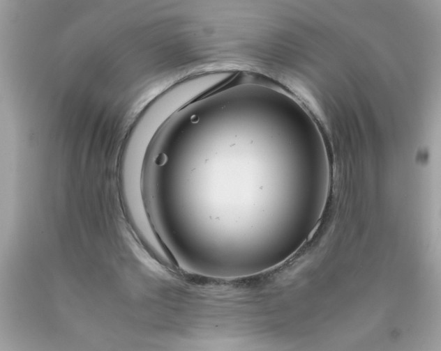 X0000090470389200707272303