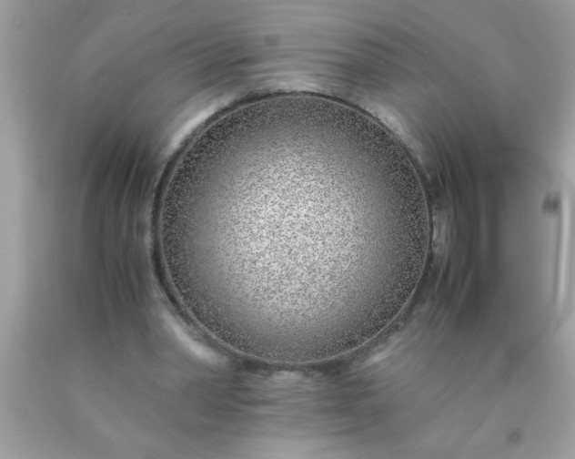 X0000090470390200707272303