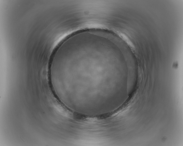 X0000090470391200707272303