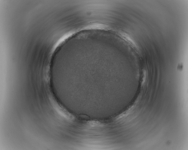 X0000090470392200707272303