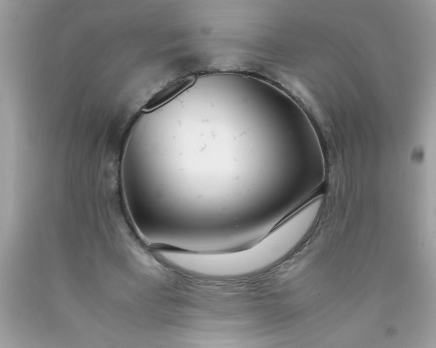 X0000090470393200707272303