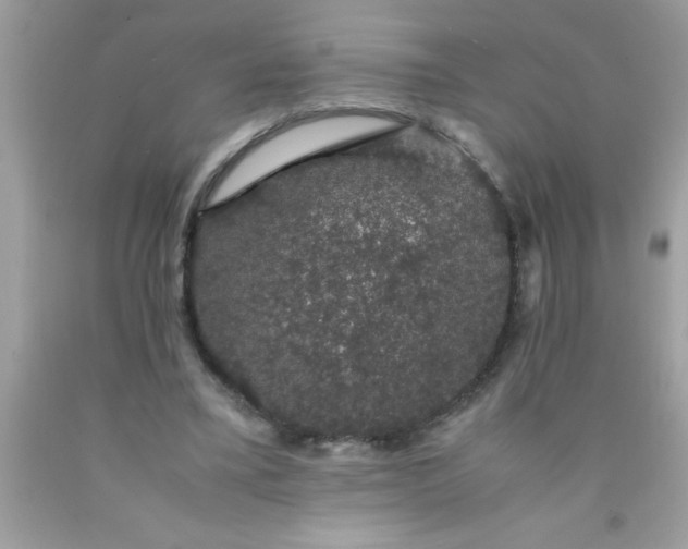 X0000090470395200707272302