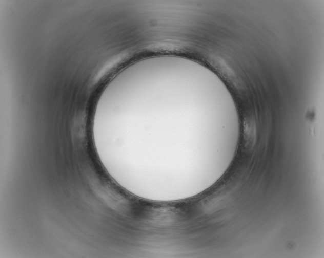 X0000090470396200707272302