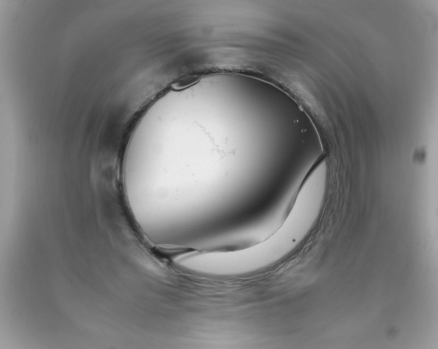 X0000090470397200707272302