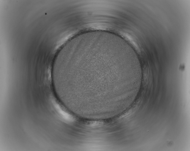 X0000090470398200707272302