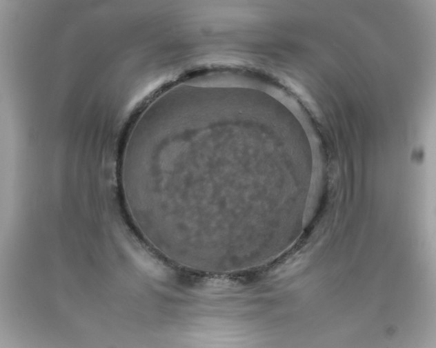 X0000090470399200707272302