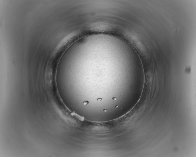 X0000090470400200707272302