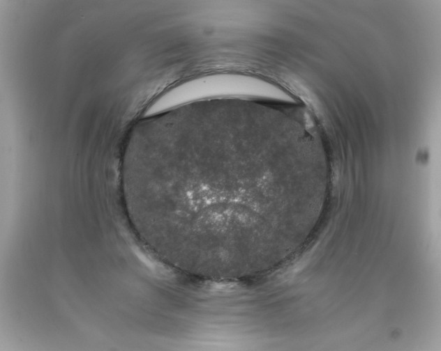 X0000090470401200707272302