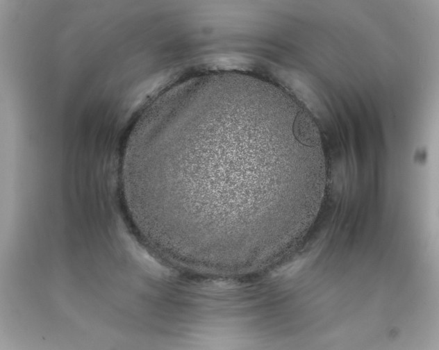 X0000090470402200707272302