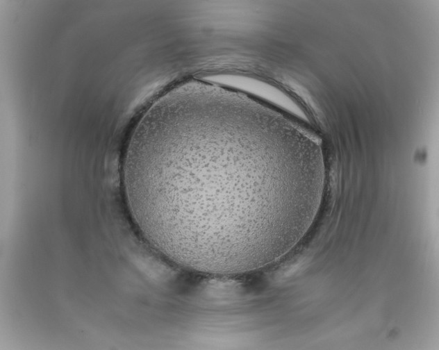 X0000090470403200707272302