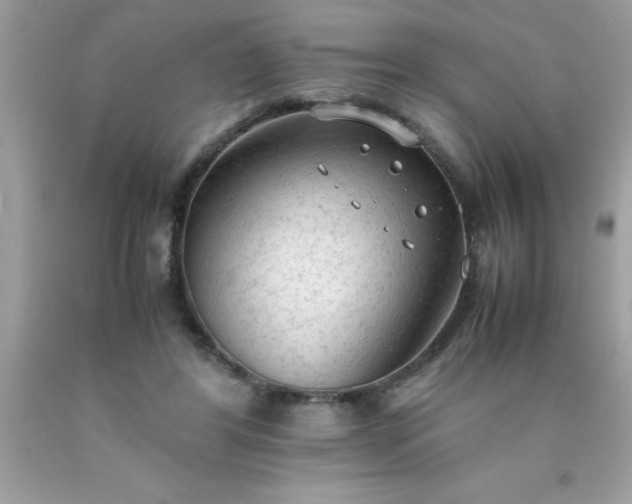 X0000090470404200707272302