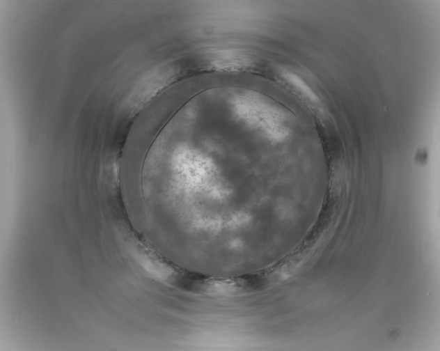 X0000090470405200707272302