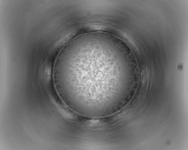 X0000090470406200707272302